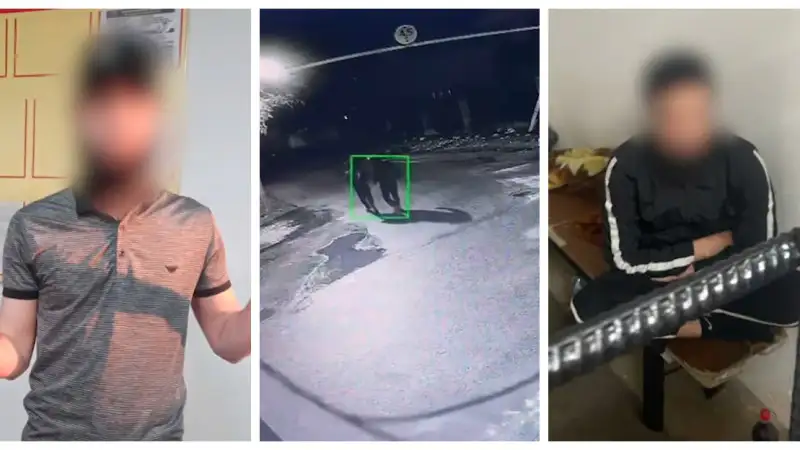 Группу серийных домушников задержали в Алматы