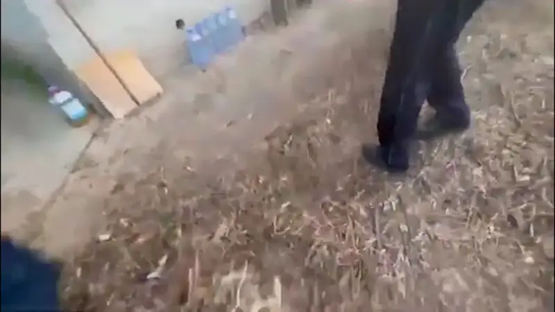 Алматинец оштрафован на 200 тысяч за шашлык и картошку на даче: курьез на улице Садовой Павлодаре