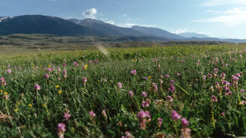 Готовьтесь к жаре: жители Астаны и Алматы обсуждают предстоящие высокие температуры Павлодаре