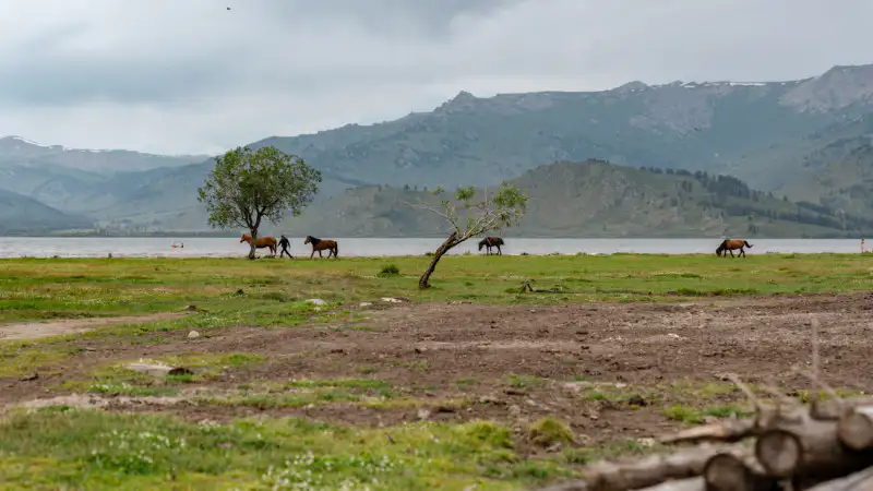 Горожане готовятся к жаре: синоптики предупреждают о высоких температурах в Астане и Алматы Павлодаре