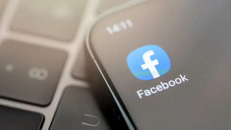 Соцсети как сад: Министр науки предлагает студентам убрать сорняки перед поступлением в Гарвард Павлодаре