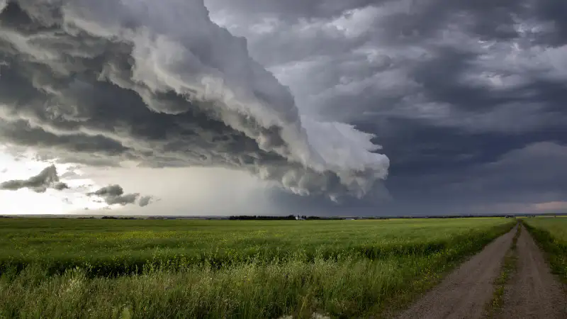 Стихия на подходе: как грозы и дожди изменят облик Казахстана 27 июня Павлодаре
