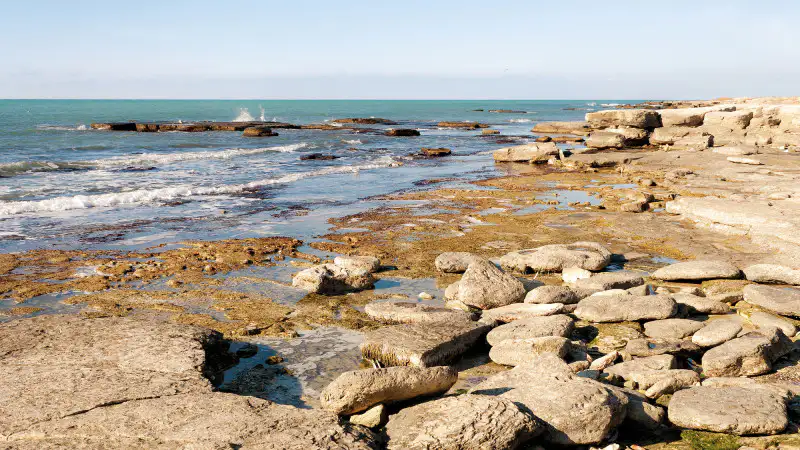 Экологическая катастрофа на горизонте: Каспийское море страдает от регулярных нефтяных загрязнений Павлодаре