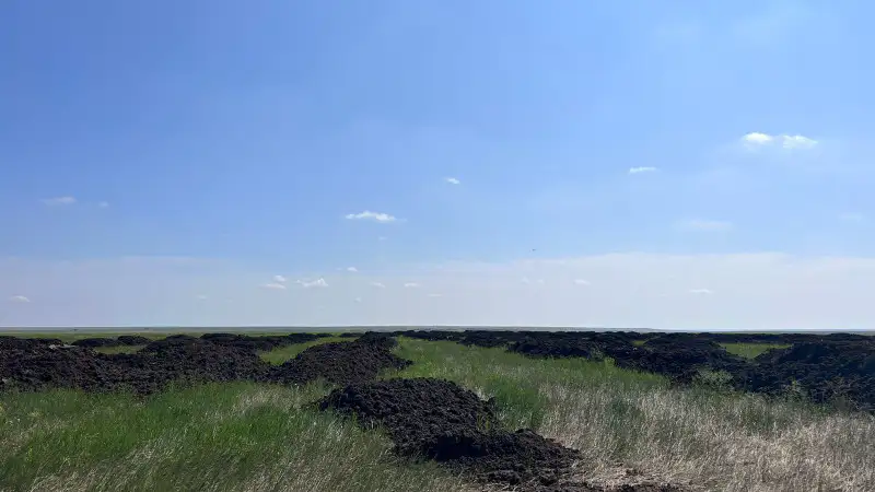 Экологическая катастрофа под Актобе: местные жители протестуют против свалки птичьего помета и его последствий Павлодаре