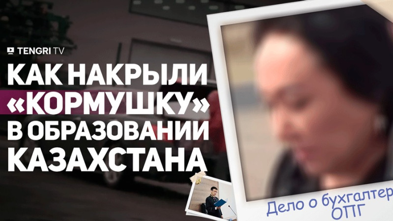 Как школьные бухгалтеры обманули систему на миллиарды?