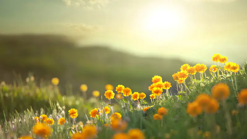 Горожане готовятся к резким перепадам температуры: эксперты предупреждают о погодных сюрпризах в Астане и Алматы Павлодаре