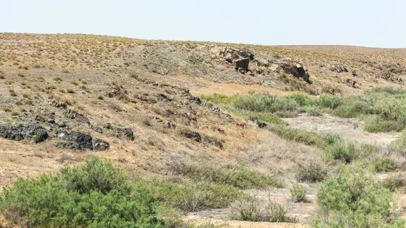 Казахстан: Погода 6 июня — буря или спокойствие? Павлодаре