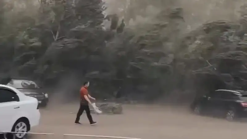 Как ураган спасает и угрожает детям Казахстана? Павлодаре