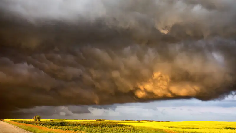 Погода в Астане и Алматы: что ждать с 25 по 27 июня? Прогноз от Казгидромета Павлодаре