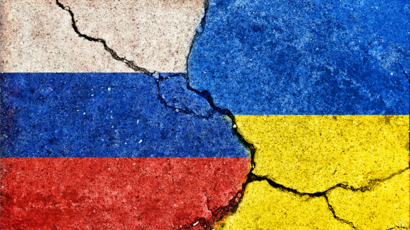 Курская область: Украина передала тела 1212 погибших военнослужащих 15 октября