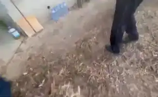 Алматинец оштрафован на 200 тысяч за шашлык и картошку на даче: курьез на улице Садовой