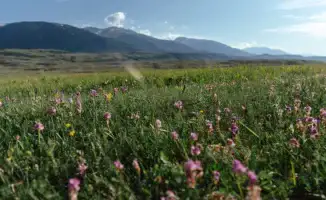 Готовьтесь к жаре: жители Астаны и Алматы обсуждают предстоящие высокие температуры