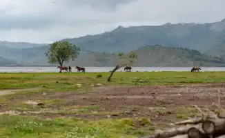 Горожане готовятся к жаре: синоптики предупреждают о высоких температурах в Астане и Алматы