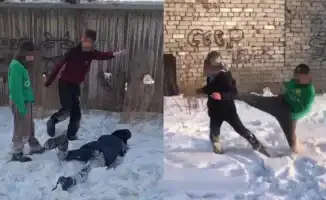 Кто ответит за жестокость: родители или подростки?