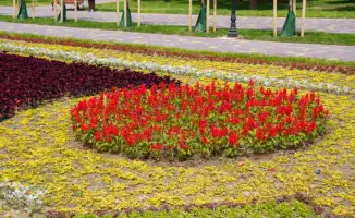 Погода в Астане и Алматы: когда зной уступит место свежему дыханию природы?