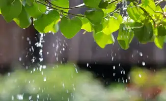 Летние каникулы под дождем: Казахстан готовится к буре эмоций и порывам ветра