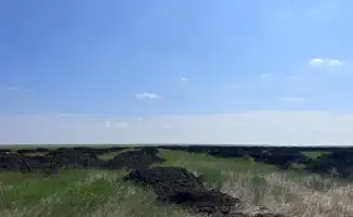 Экологическая катастрофа под Актобе: местные жители протестуют против свалки птичьего помета и его последствий