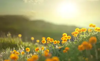 Горожане готовятся к резким перепадам температуры: эксперты предупреждают о погодных сюрпризах в Астане и Алматы