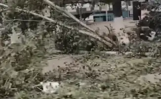 Жители Павлодарской области в шоке: ураган оставил города в режиме ЧС