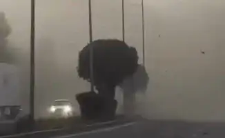 Ураганный ветер в Алматы: 19 июня город столкнулся с падением деревьев и обрывами проводов