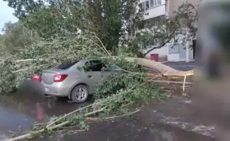 Эксперты обеспокоены: ураган в Павлодарской области затронул детей