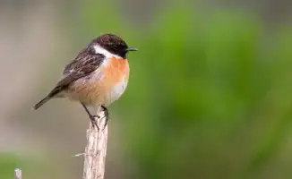 Какой сюрприз приготовила погода для Астаны и Алматы?