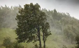 Казахстан в день летнего равноденствия: погода как на карусели — от жары до града за один день!