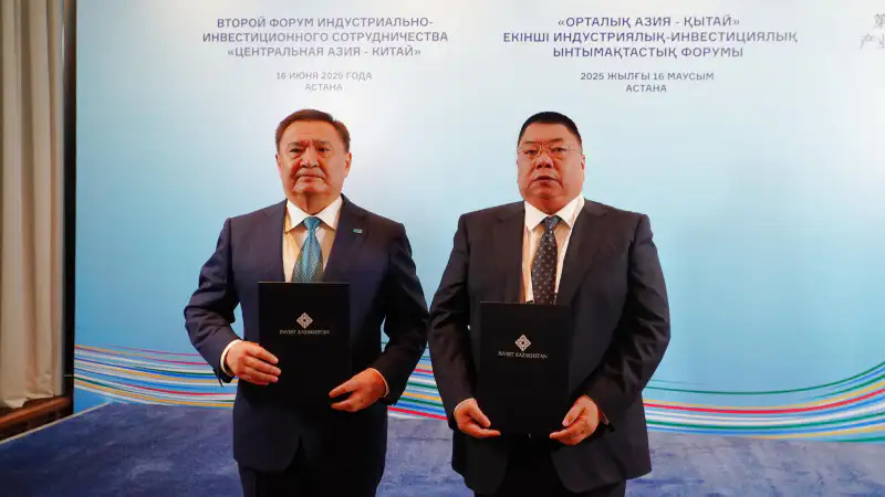 Ветер перемен: Акмолинская область готовит площадку для завода, который будет ловить силу природы в каждом винте Павлодаре