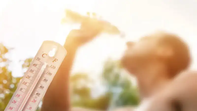 Штормовые предупреждения на 23 июня: жара, ураганный ветер и угроза пожаров в ряде регионов Казахстана Павлодаре