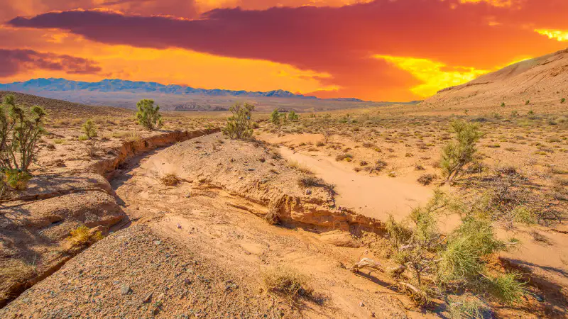 Казахстан в ловушке стихии: грозы и шквалы угрожают урожаю и безопасности граждан 18 июня Павлодаре
