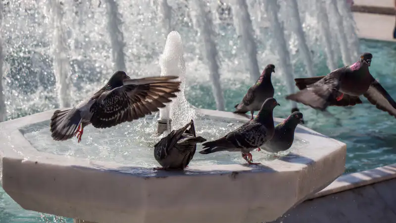 Жаркая погода в Астане и Алматы: прогноз на 2-4 июля от синоптиков Казгидромета Павлодаре