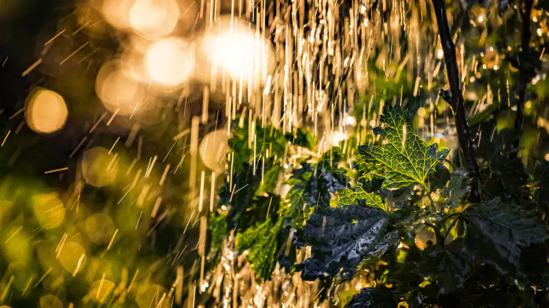 Казахстан в огненном плену: аномальная жара и ливни ставят под угрозу урожай и здоровье граждан Павлодаре