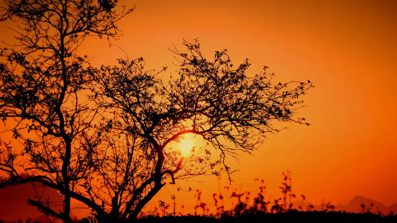 Пекло на горизонте: Астана и Алматы готовятся к солнечному испытанию с 15 по 17 июля Павлодаре