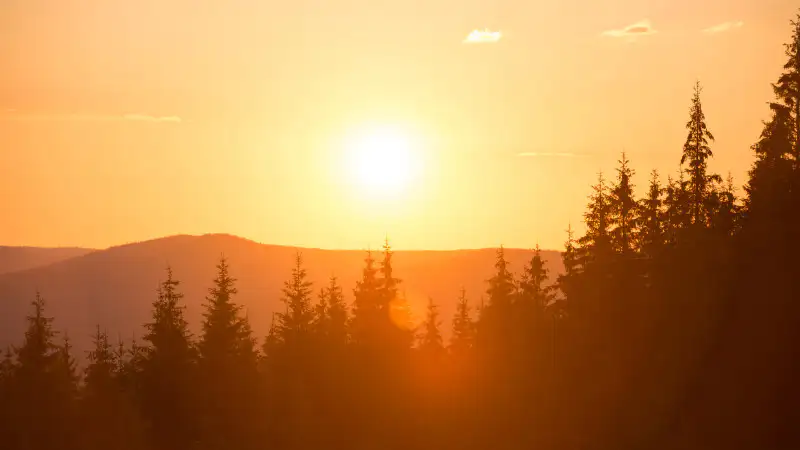 Готовьтесь к знойным дням: жители Астаны и Алматы обсуждают предстоящую жару Павлодаре