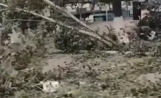 Ураган в Аксу: ветер перемен для акима и его команды