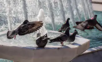 Жаркая погода в Астане и Алматы: прогноз на 2-4 июля от синоптиков Казгидромета