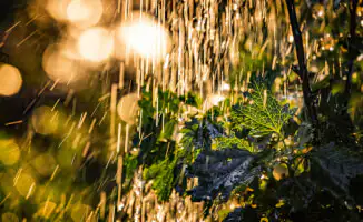 Казахстан в огненном плену: аномальная жара и ливни ставят под угрозу урожай и здоровье граждан