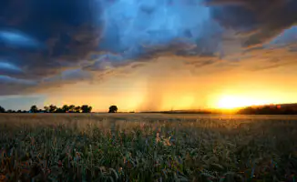 Неустойчивая погода в Казахстане 1 июля: дожди и грозы в разных регионах страны