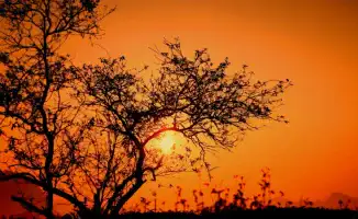 Пекло на горизонте: Астана и Алматы готовятся к солнечному испытанию с 15 по 17 июля