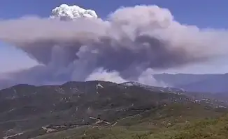 Калифорнийский ад: огненная стихия угрожает жизням и экосистеме, охватив более 52 000 акров