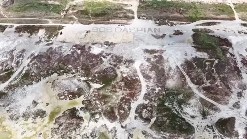 Активисты представили 10 шагов по спасению Каспийского моря: глобальное движение Save the Caspian Sea озвучило план действий Павлодаре