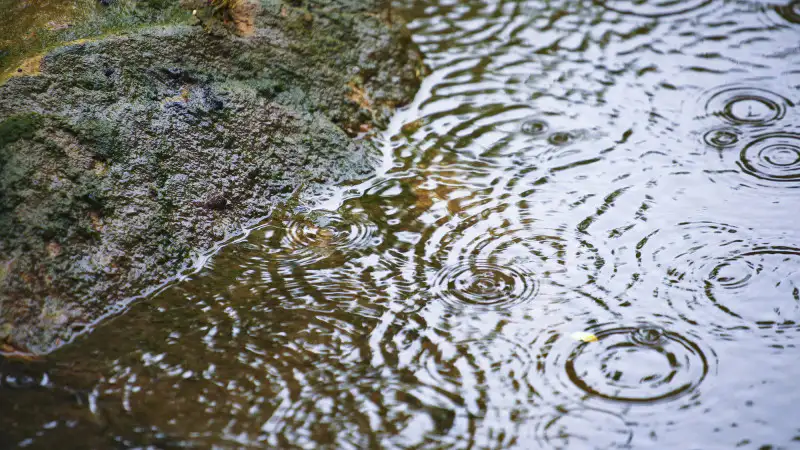 Казахстан: Дожди и грозы ожидаются в десятках городов, в то время как юг страны столкнется с жаркой погодой в субботу Павлодаре