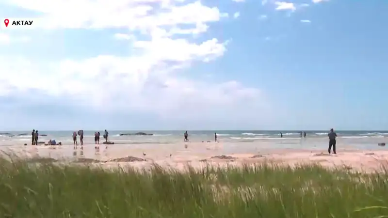 Казахстанская часть Каспийского моря: отступление на 18 километров с 2006 года и ежегодное снижение уровня на 70 сантиметров Павлодаре