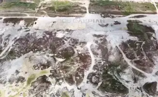 Активисты представили 10 шагов по спасению Каспийского моря: глобальное движение Save the Caspian Sea озвучило план действий