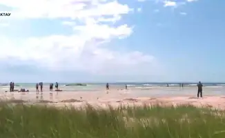 Казахстанская часть Каспийского моря: отступление на 18 километров с 2006 года и ежегодное снижение уровня на 70 сантиметров