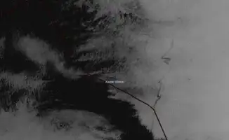 Каспийское море в опасности: обнаружено пятно загрязнения площадью 82 квадратных километра