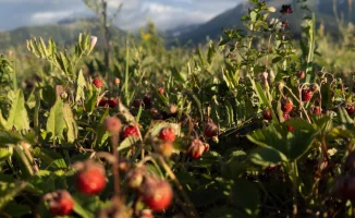 Казахстан: Резкие перепады температуры и сильные погодные явления ожидаются 22 августа