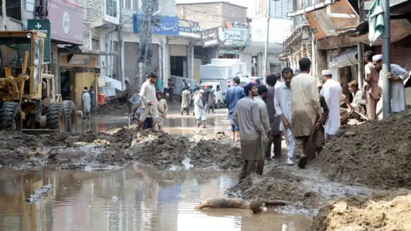 Стихия в Южной Азии: дождь, как гнев небес, унес жизни более 400 человек Павлодаре