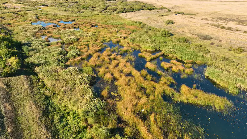 Река Есиль, фото с воздуха