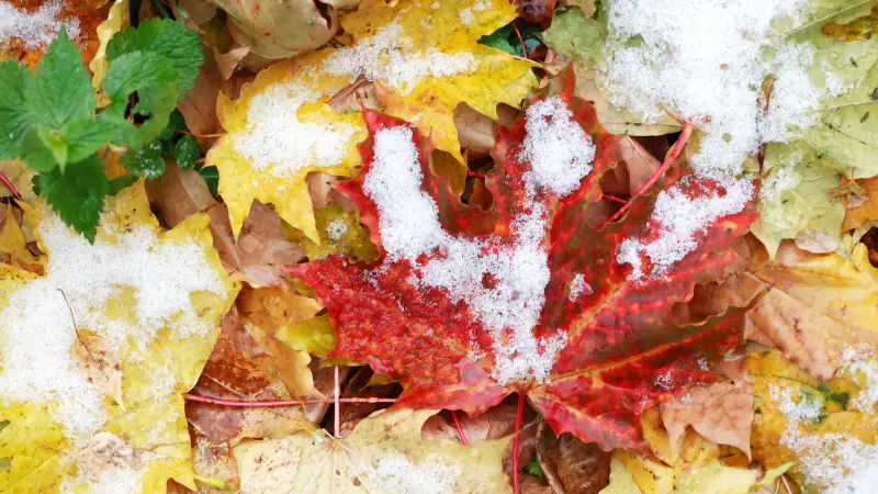 Погода в Казахстане 20 сентября: похолодание и снег в городах Павлодаре